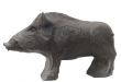 javelina