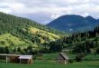 Apartma Bohinjska Bistrica