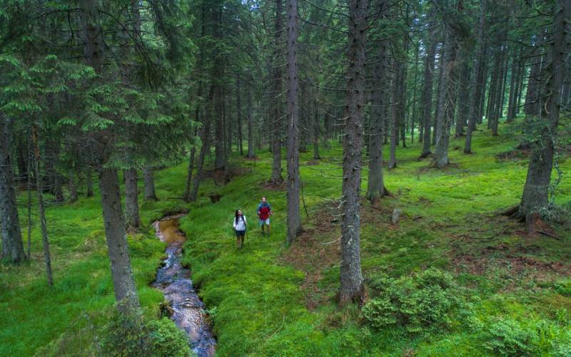 Hiking Holiday house Zarja Trije Kralji 