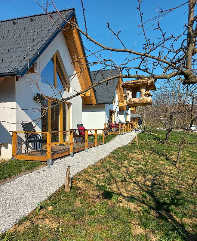 Pozimi hranimo ptice, da nam čez leto lepo pojejo