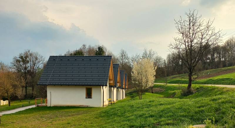 Pogled s ceste Pogled s ceste