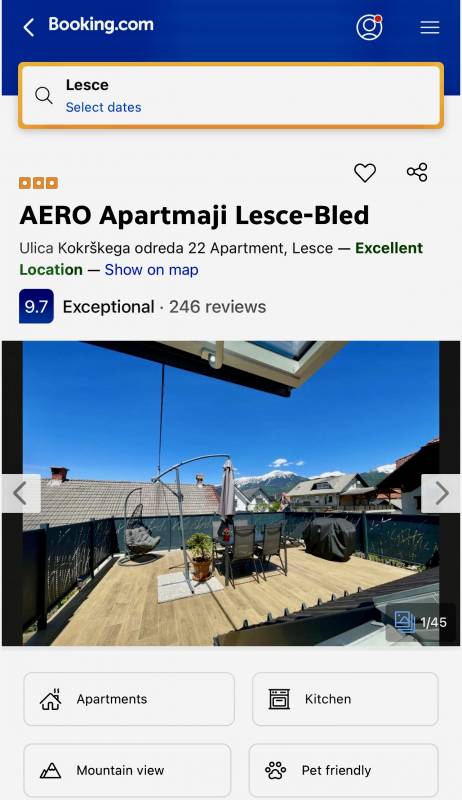 Image title