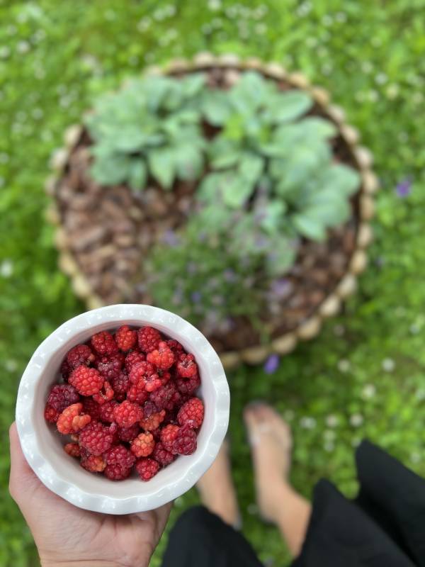 Homemade raspberries and strawberries Mala Korita Soče Homemade raspberries and strawberries Mala Korita Soče