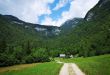 Planina voje