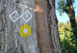 Juliana trail 