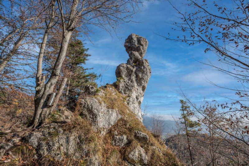 POLJANSKA BABA