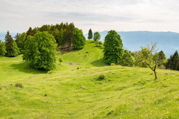 PLANINA OBRANCA