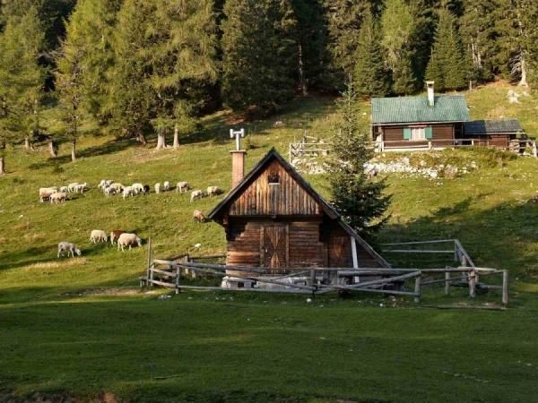 PLANINA STAMARE