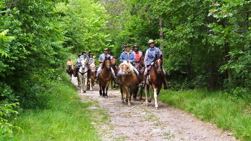 HORSE RIDING