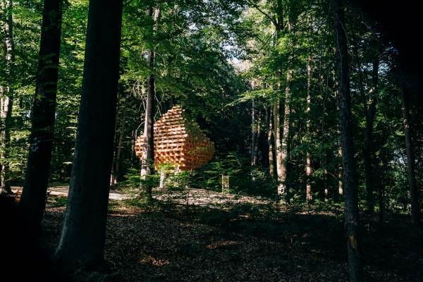 Das Haus im Wald Das Haus im Wald