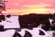 Pogled