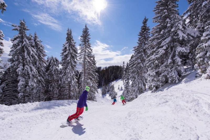 golte pozimi golte pozimi