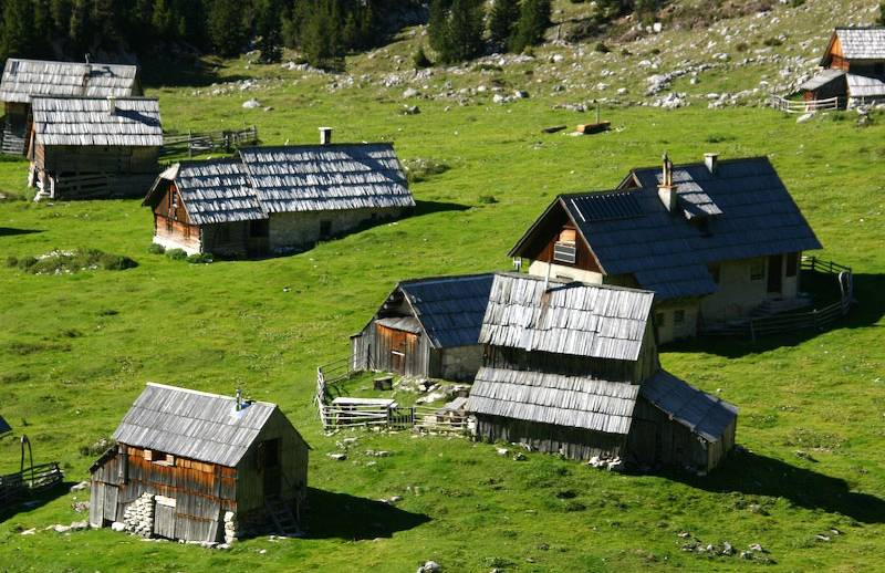 BOHINJSKE PLANINE