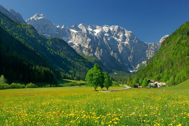 Logarska dolina