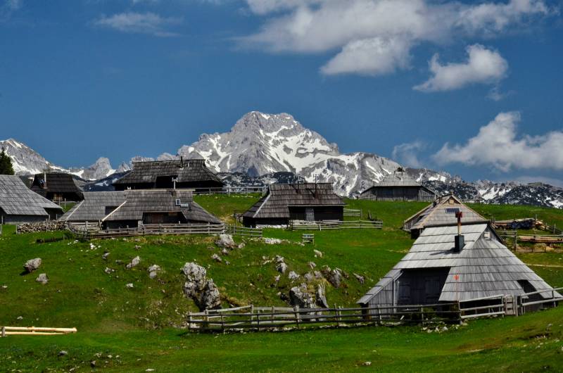 Velika Planina