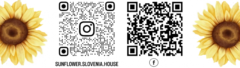 Facebook& Instagram Facebook& Instagram
