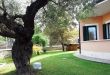 Terrace Villa Marittima****